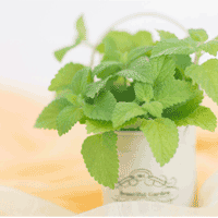 オフィスの内装工事をして気分一新！職場に活力を生む！